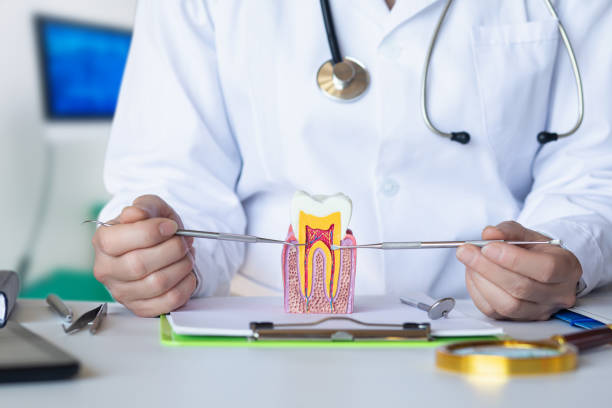 Best Emergency Dental Care for Broken or Chipped Teeth in Dupont, WA